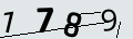verifycode